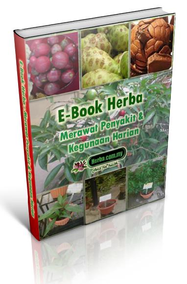Ebook Herba - Merawat penyakit & Kegunaan harian